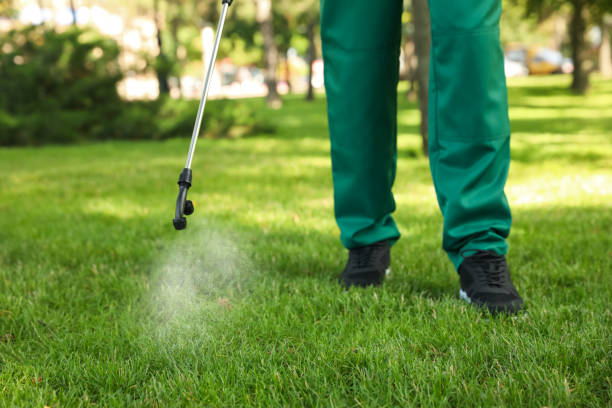 Best Insect Control  in Kings Beach, CA