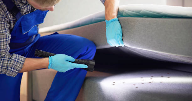  Kings Beach, CA Pest Control Pros