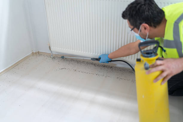 Best Wasp Removal Services  in Kings Beach, CA
