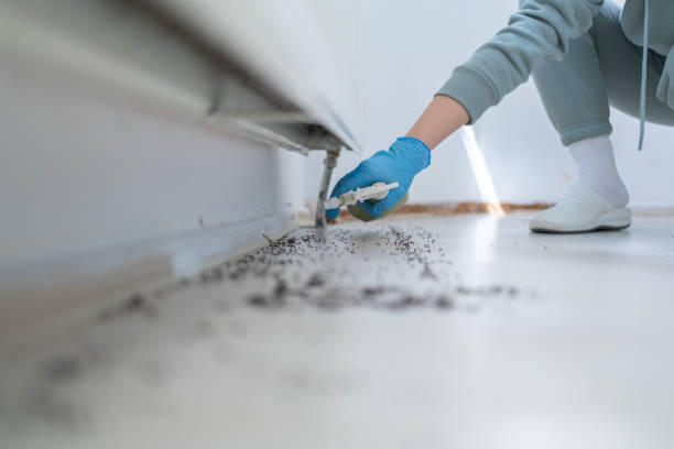 Best Commercial Pest Control Services  in Kings Beach, CA